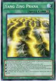 DUEA-EN062 Yang Zing Prana