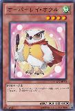 GAOV-JP003 Overlay Owl