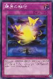GAOV-JP070 Scales of Subordination